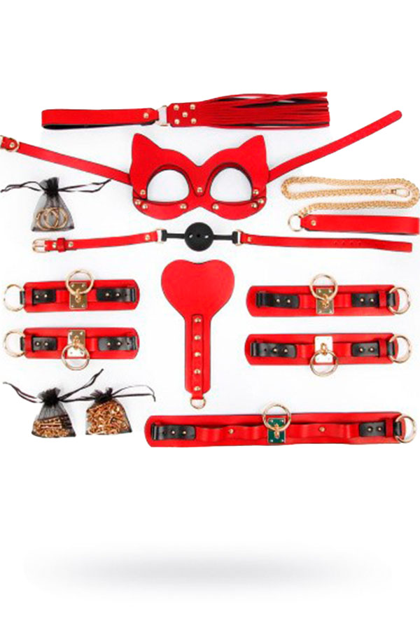Набор (наручники, оковы, маска, ошейник, плеть, поводок, кляп, шлёпалка, зажимы),красный (арт. NTB-80654)