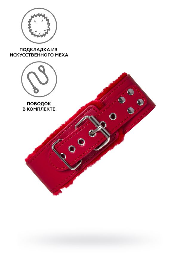 Ошейник с поводком TOYFA, PU кожа, красный, 43 см (арт. 886105)