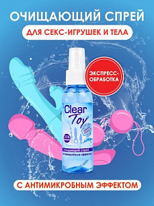 Очищающий спрей "Clear toy" с антимикробным эффектом (без запаха), 100 мл (арт. 14006, LB-14006)