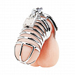 Металлическая клетка с замком для сексуальных пыток члена Deluxe Chastity Cage