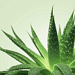 Нуру гель для массажа MIXGLISS ALOE VERA 150мл
