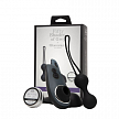 Набор Desire Blooms (Womanizer Liberty и тренажер Kegel Balls) (арт. 85088)