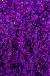 Соль мёртвого моря для ванны Shunga Oriental Crystals "Экзотические фрукты" 500гр