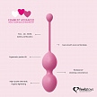 Усовершенствованный набор FemmeFit для женских тренировок Advanced Pelvic Muscle Training Set
