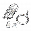 Металлическая клетка с замком для сексуальных пыток члена Deluxe Chastity Cage