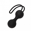 Набор Desire Blooms (Womanizer Liberty и тренажер Kegel Balls) (арт. 85088)