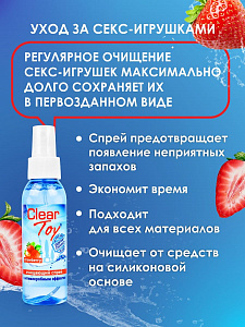 Очищающий спрей "Clear toy" Strawberry с антимикробным эффектом (с клубничным ароматом), 100 мл (арт. LB-14012)