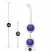 Тренировочный набор для вагины Wellness Kegel Training Kit